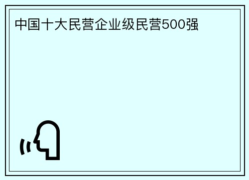 中国十大民营企业级民营500强