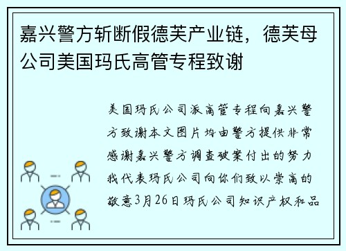 嘉兴警方斩断假德芙产业链，德芙母公司美国玛氏高管专程致谢