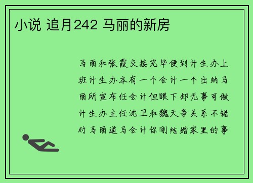 小说 追月242 马丽的新房