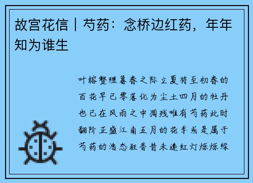 故宫花信｜芍药：念桥边红药，年年知为谁生