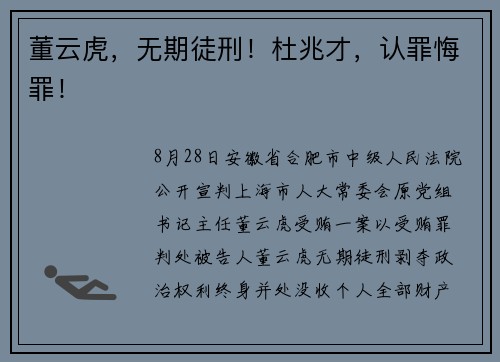 董云虎，无期徒刑！杜兆才，认罪悔罪！