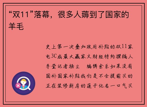 “双11”落幕，很多人薅到了国家的羊毛